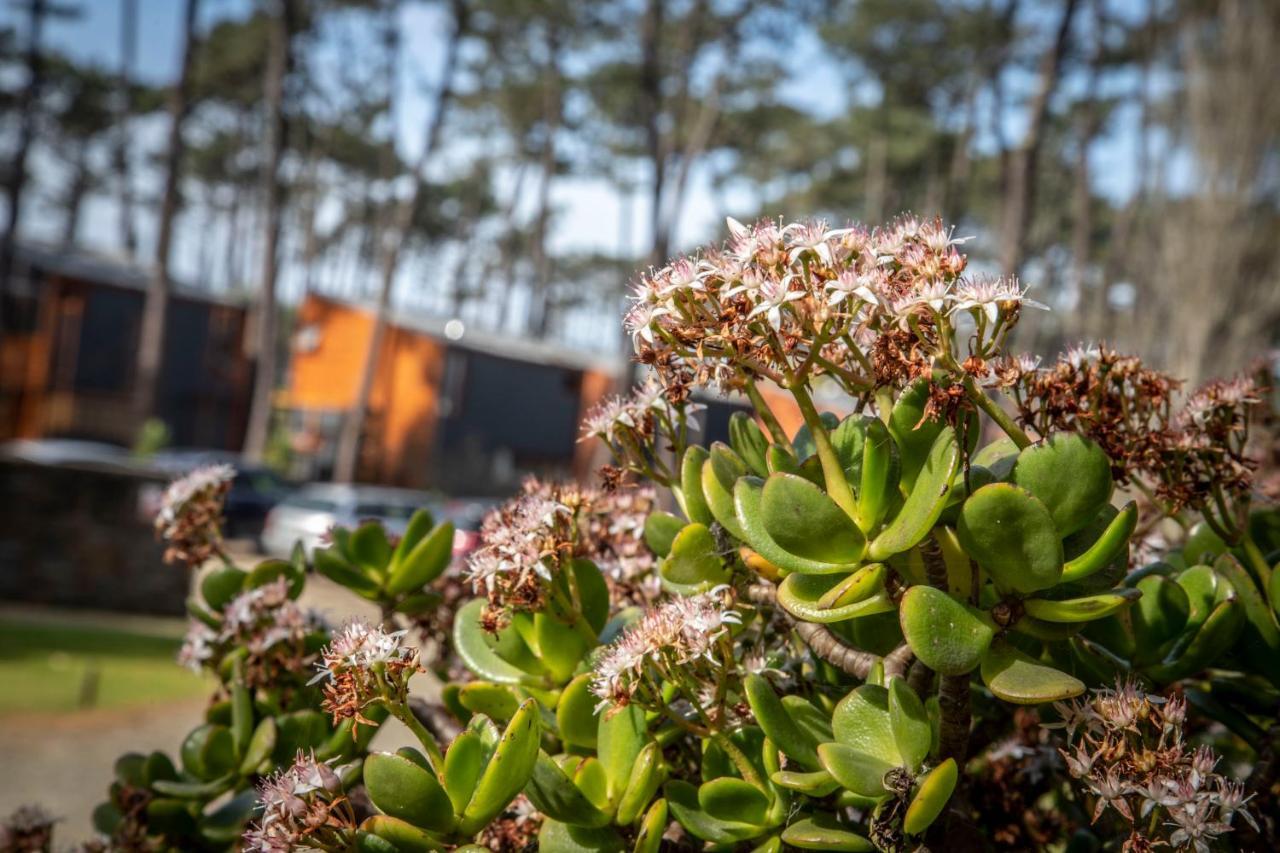 Bungalow B9 - Nature, Beach & River Fao Exterior photo